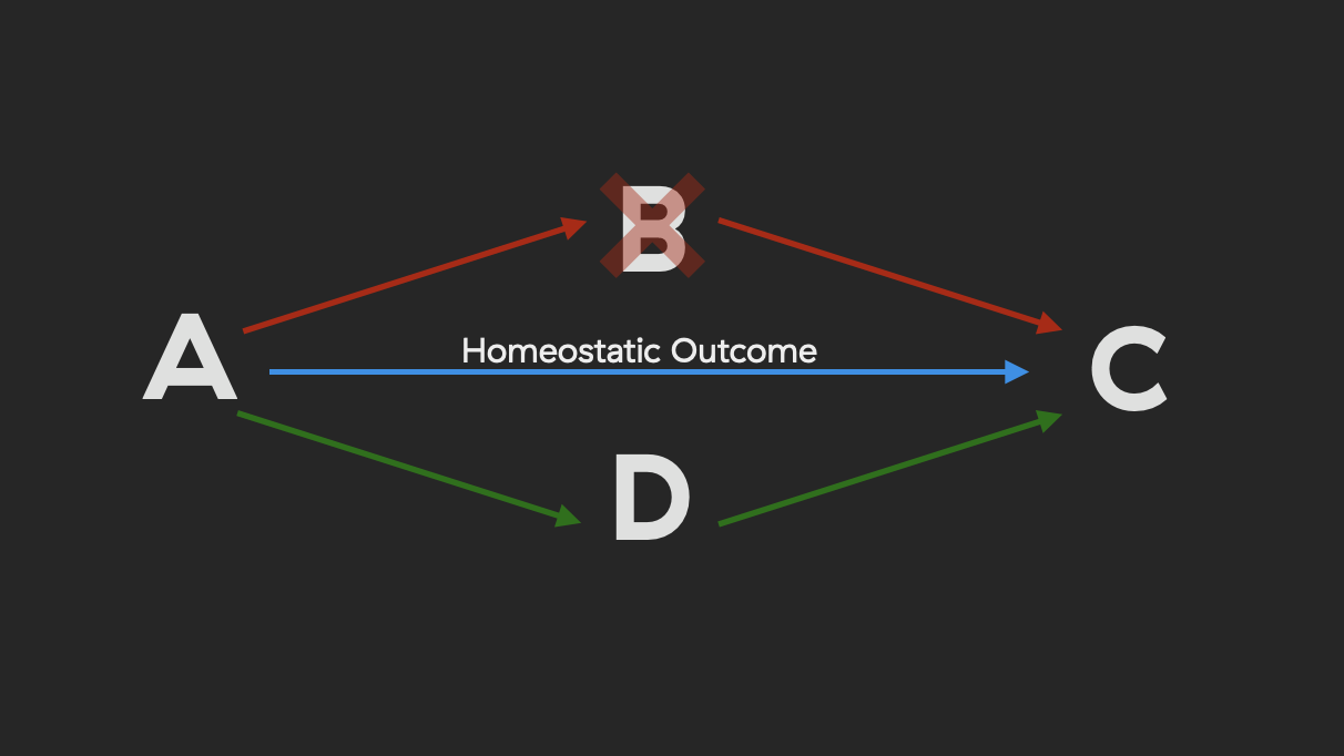 Image of redundant pathway explanation